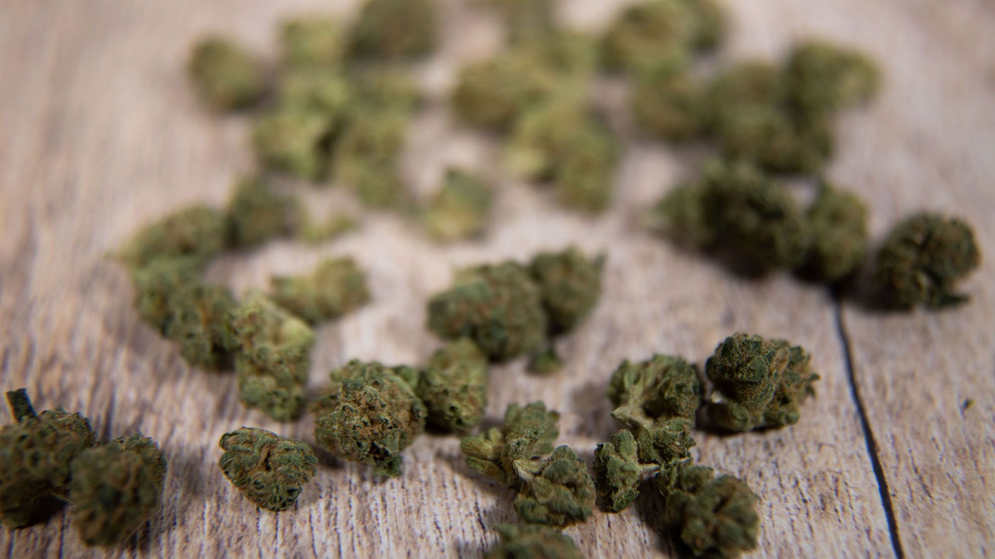 Exporting Cannabis: Legal Hurdles and Logistical Headaches in the Global Market